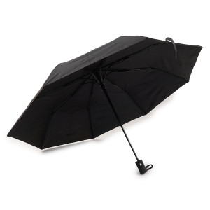 Paraguas Rainfall