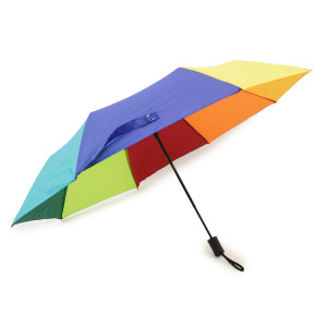 Paraguas Rainfall