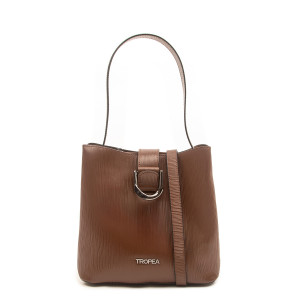 Cartera Traful